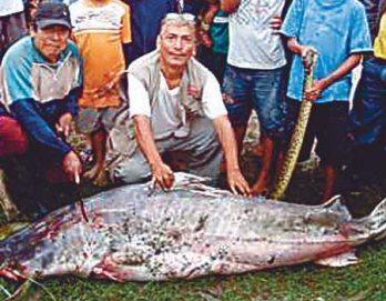 Un enorme pez de 88 kilos en el río Ucayali
