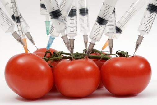 Perú: denuncian que grandes marcas ocultan contenido transgénicos en sus productos