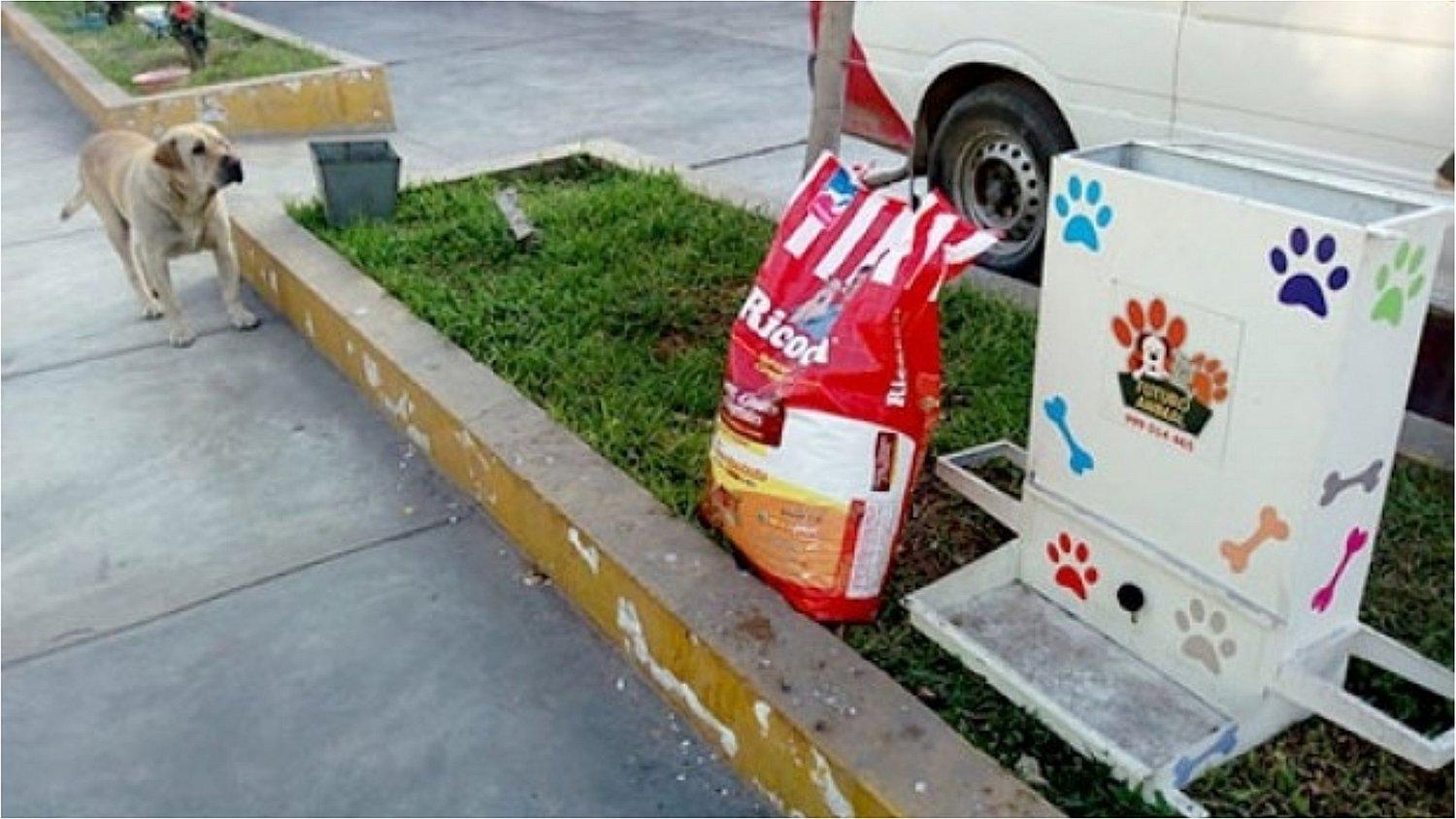 San Martín de Porres implementa dispensadores de comida para perros callejeros 