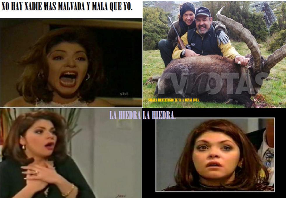 Con memes critican a Lucero por tomarse fotos con un animal cazado