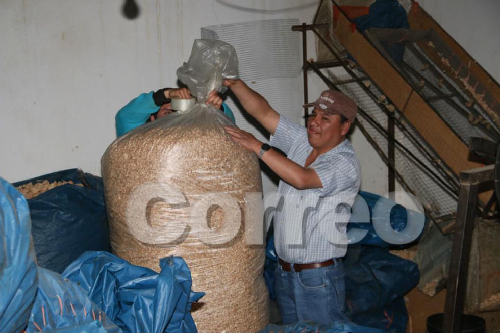 Decomisan costales de "cuculiches" de la muerte (VIDEO)