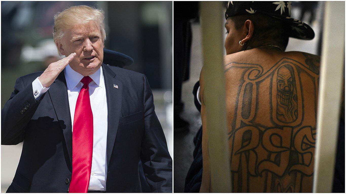 Donald Trump acusa a Obama de la expansión de los Mara Salvatrucha