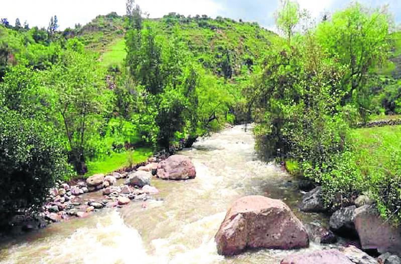 Lucanas: Alistan siembra de camarones