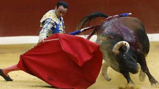 Tauromaquia: La tradición que divide al país  