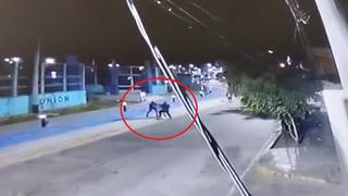 Capturan a dos venezolanos que asaltaron a poblador en Chimbote (VIDEO)
