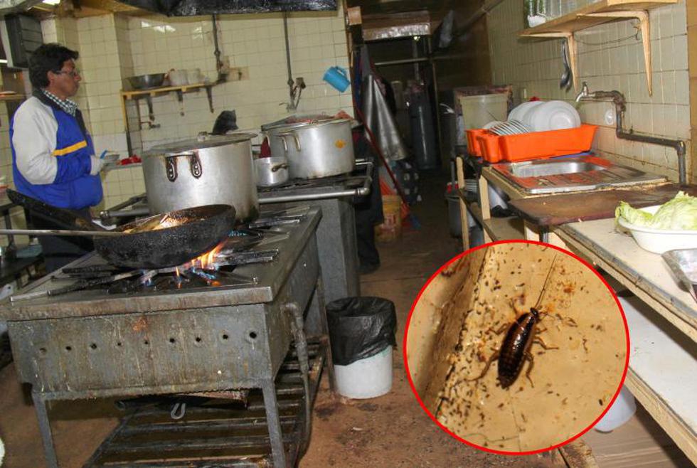 Excremento de roedor y cucarachas en restaurante (Fotos)