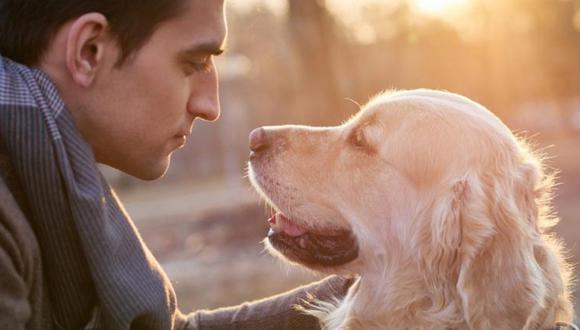 La gente siente más empatía por los perros que por los humanos, asegura estudio