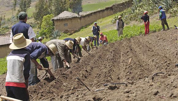 Nuevo programa buscará articular acciones para la promoción del desarrollo agrario rural en zonas de menor grado de desarrollo económico.