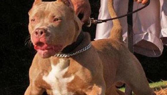 Cadena perpetua para dueños de perros asesinos 