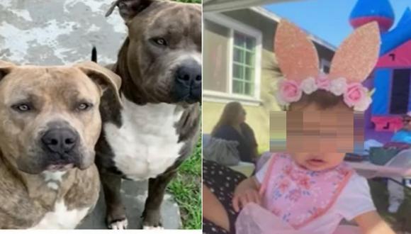 La pequeña Ruby Ann Cervantes y los dos perros pitbull de la familia que la atacaron. (Foto: captura YouTube)