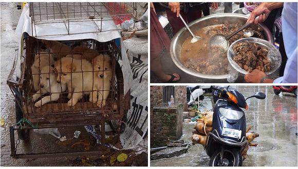 China: inicia polémico festival de carne de perro y consumidores defienden tradición (VIDEO)