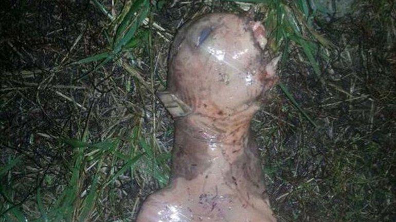 El hallazgo de una criatura extraña en California desata polémica (VIDEO)