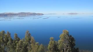 Lampa: Laguna Saytococha se habría “tragado” a Pescador