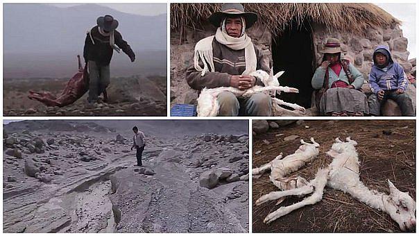 Afectados por cenizas del volcán Sabancaya esperan ayuda de la Región