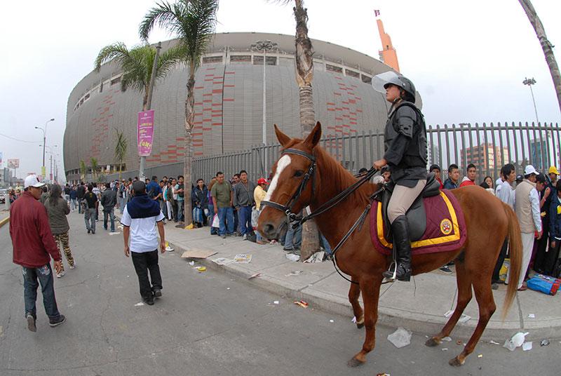 Caballo de la Policía Montada murió rumbo al Estadio Nacional