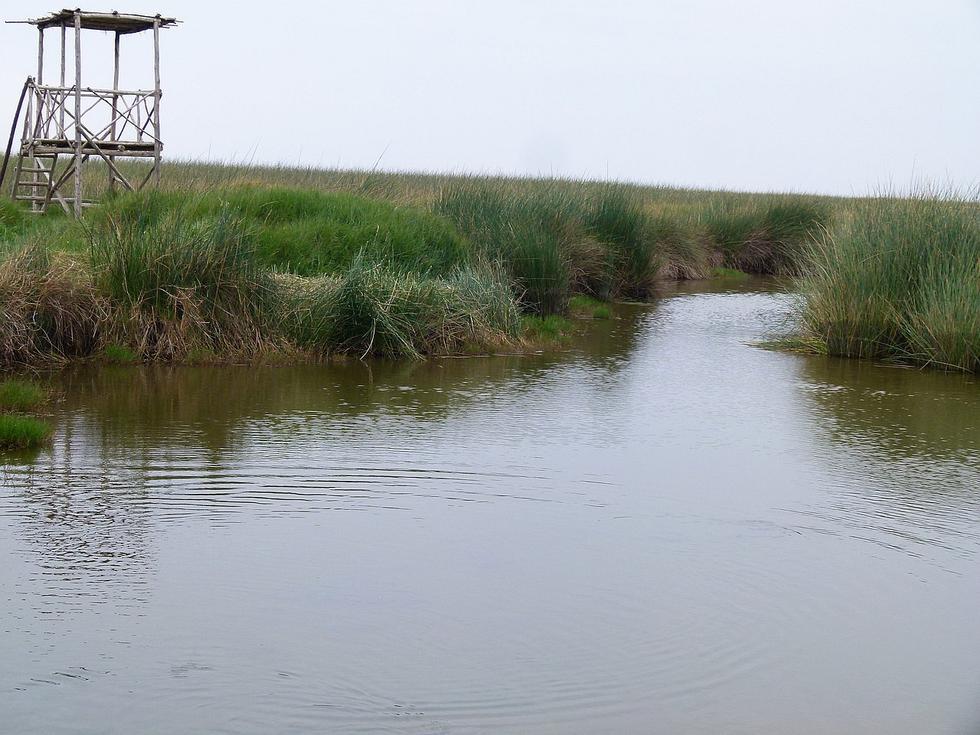 El santuario Lagunas de Mejía que alberga  210 especies de aves