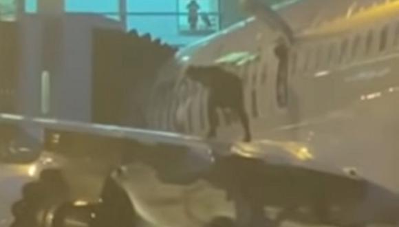Según la Policía, el incidente sucedió cuando el avión aún no había estacionado junto a la puerta designada para el desembarque. (Foto: captura YouTube WPLG Local 10)