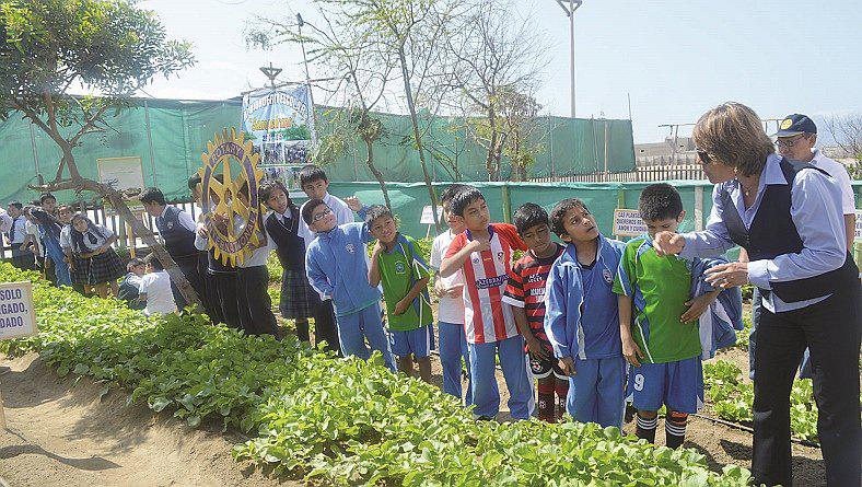 Chimbote: Escolares se benefician con biohuertos con riego tecnificado 