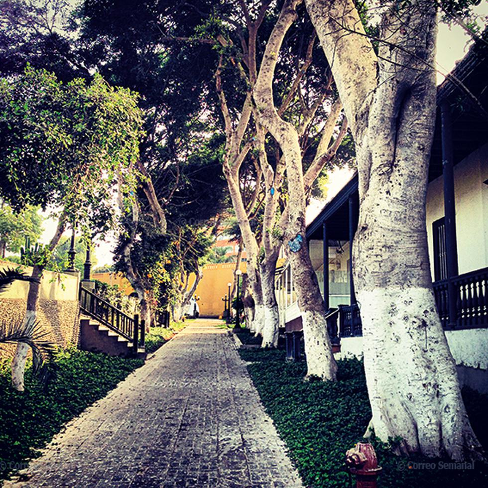 Ramiro Llona: La otra mirada