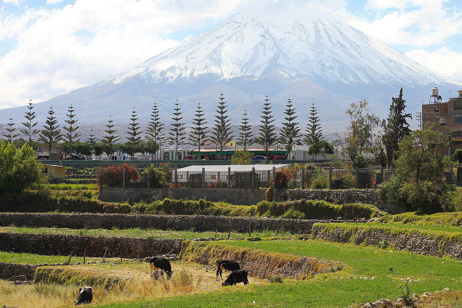 Municipio aprueba gentilicio para nacidos en Paucarpata