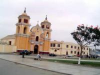 Chocope: Ordenan podar árboles por presencia de plagas