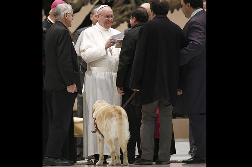 Papa Francisco bendijo al perro guía de un periodista invidente (FOTOS)
