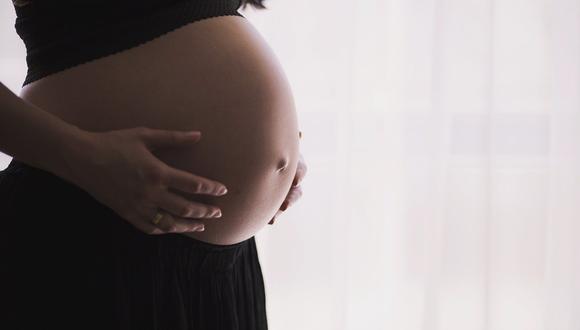 Medidas que deben seguir las mujeres embarazadas durante el COVID 19(Foto: Pixabay)