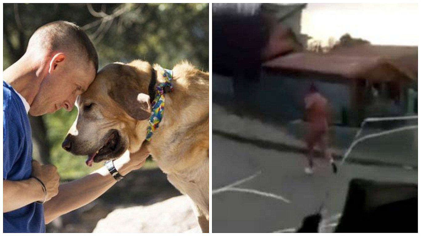 YouTube: Su perro ladraba tanto hacia su cama que decidió ir a ver y esto encontró (VIDEO)