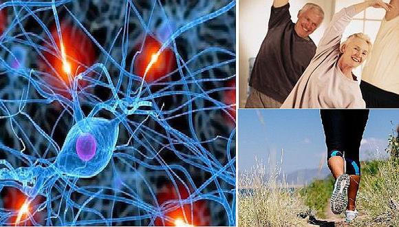 Estudiosos descubren que somos capaces de crear nuevas neuronas a cualquier edad 