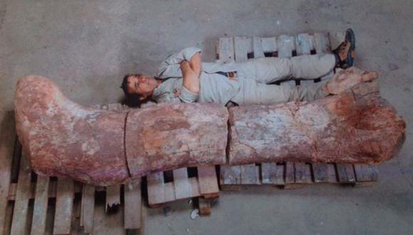 Hallan fósiles de dinosaurio de 100 toneladas de peso