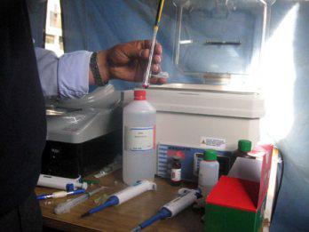 85% de las boticas en Juliaca son informales