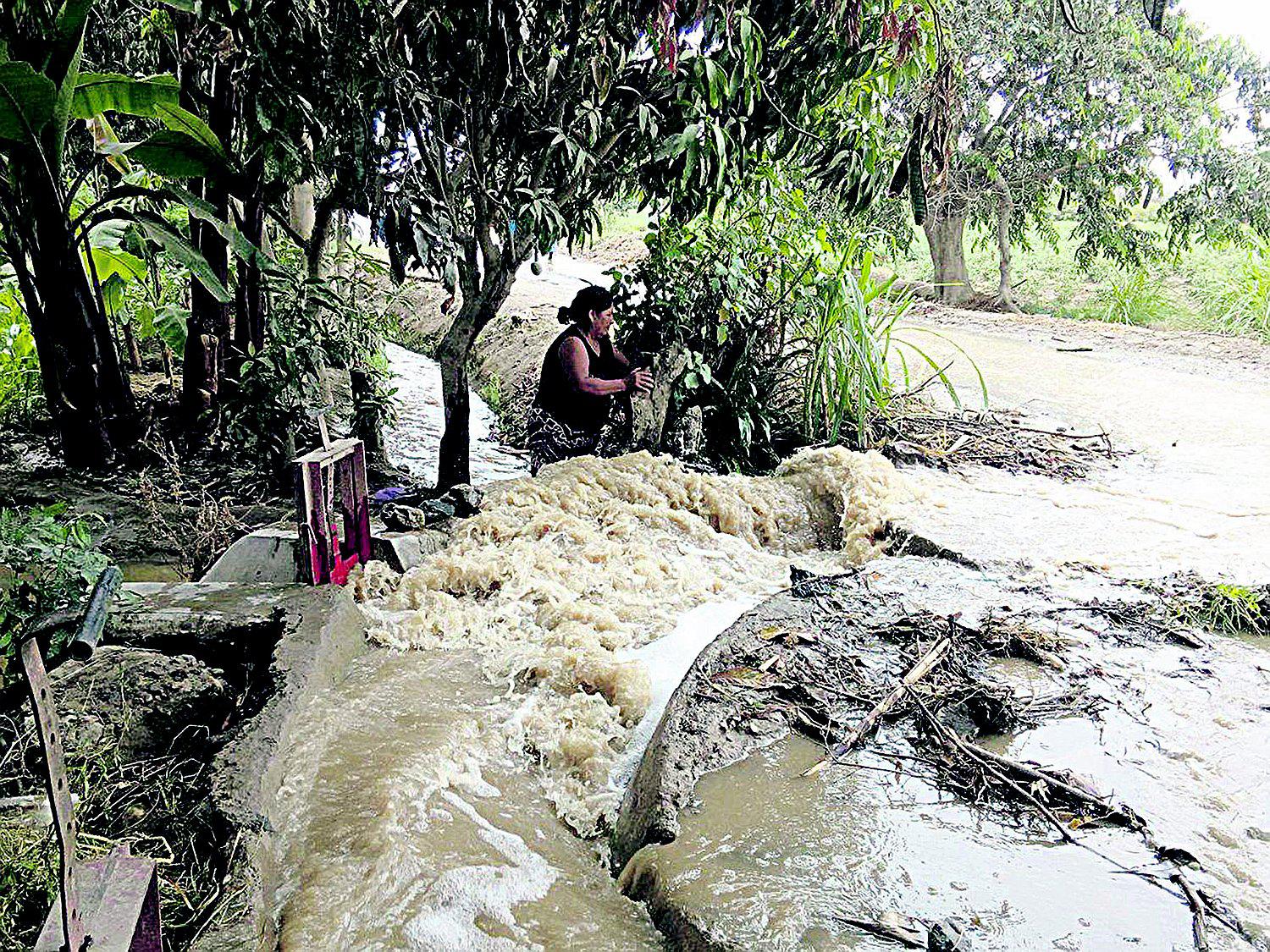Agricultores de Casma no recibirán apoyo