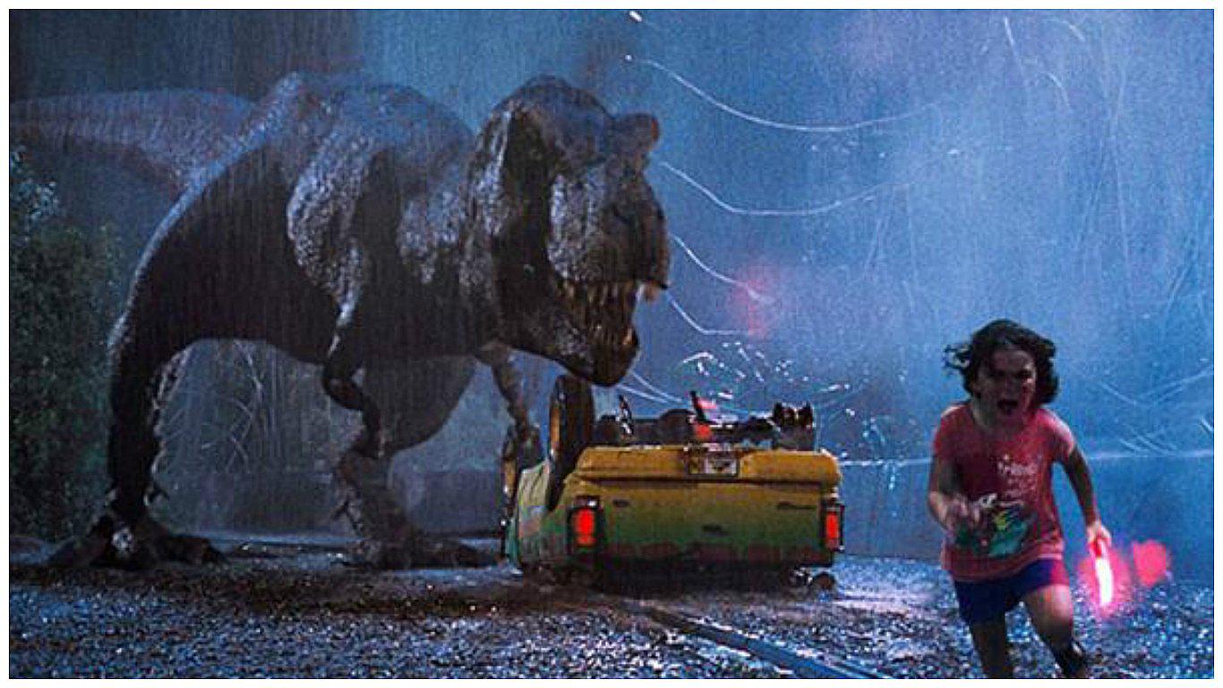 Foto de niña que huye de pavo real se convierte en memes (FOTOS)