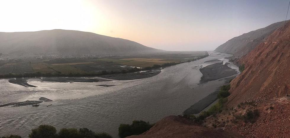 ​El aislamiento social permitió que las aves recuperen sus espacios naturales (FOTOS)