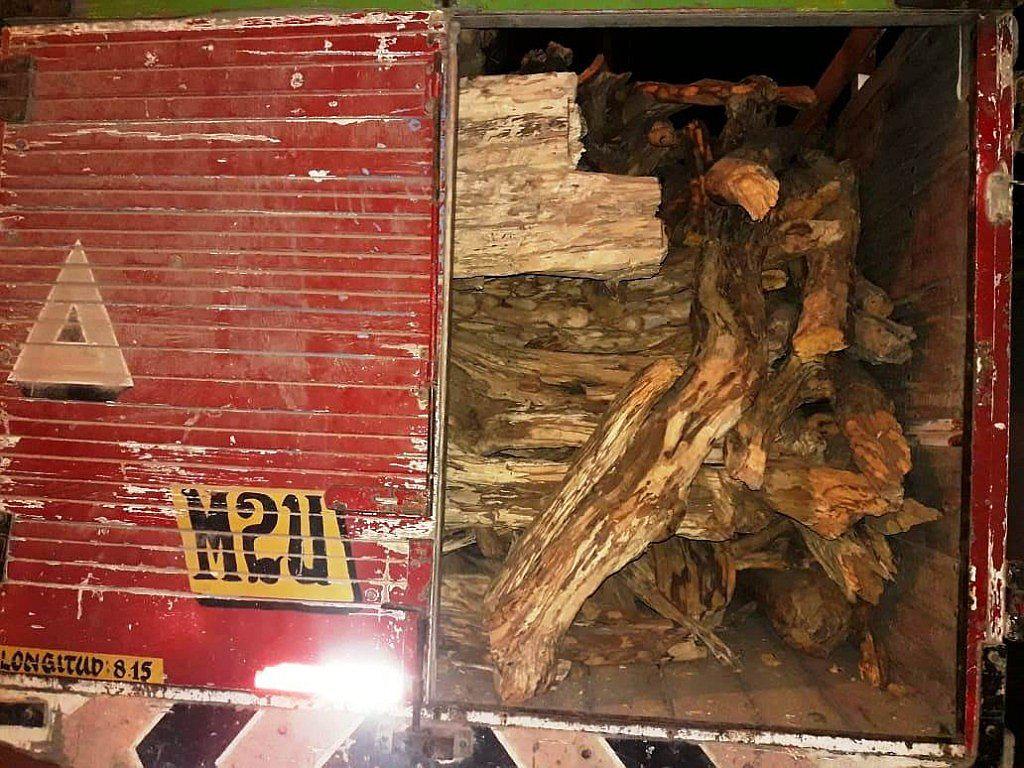 Intervienen un camión con 4,250 kilos de palo santo ilegal en Morropón