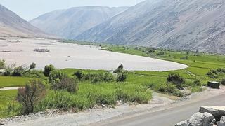 Arequipa: 50 topos de arroz resultan dañados en Ocoña por aumento del caudal del río