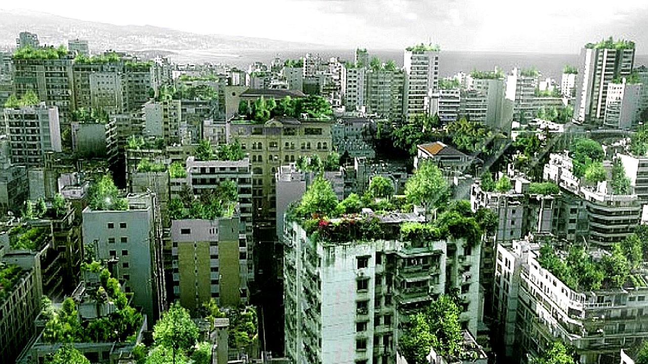 Miraflores: Aprueban ordenanza que promueve la construcción de edificaciones con techos verdes 