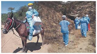Piura: Enfermeras viajan en burro para vacunar a adultos mayores