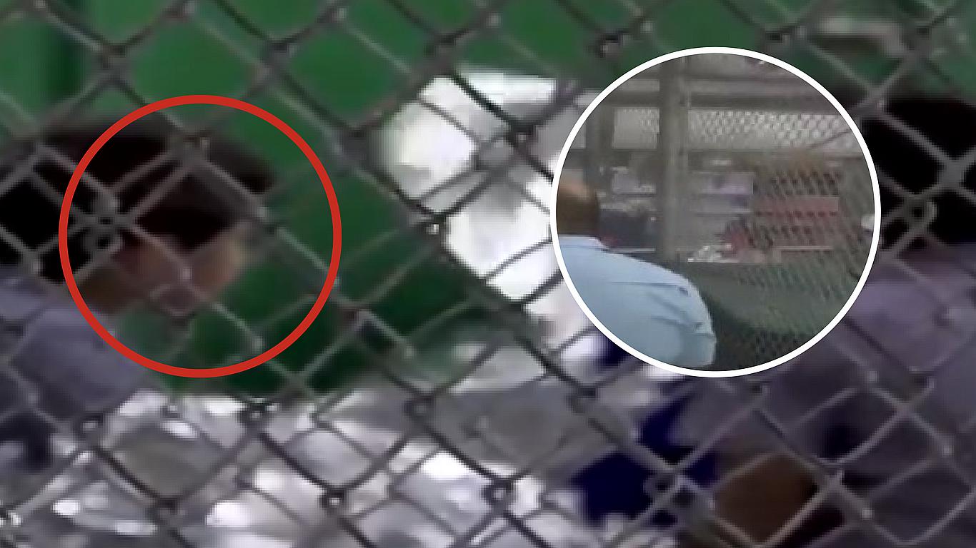 ​Vídeos muestran las jaulas que usa Trump para retener a los niños inmigrantes (VIDEO Y AUDIO)
