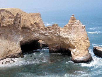 Entrada gratuita a Reserva de Paracas