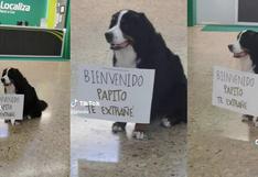 “Bienvenido, papito, te extrañé”: perrito espera a su dueño en el aeropuerto con un tierno cartel