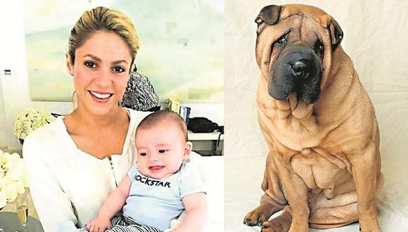 Shakira vio a su hijo como un perro de raza china