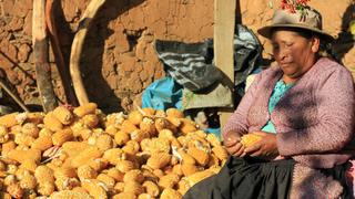 Huancavelica: Distrito de Pichos reporta cero casos de COVID-19 y pide ayuda para vender sobreproducción de maíz
