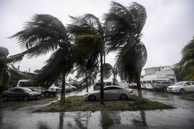 Los vientos azotan las palmeras después del paso del huracán Delta, en Cancún, estado de Quintana Roo, México. (AFP / PEDRO PARDO).
