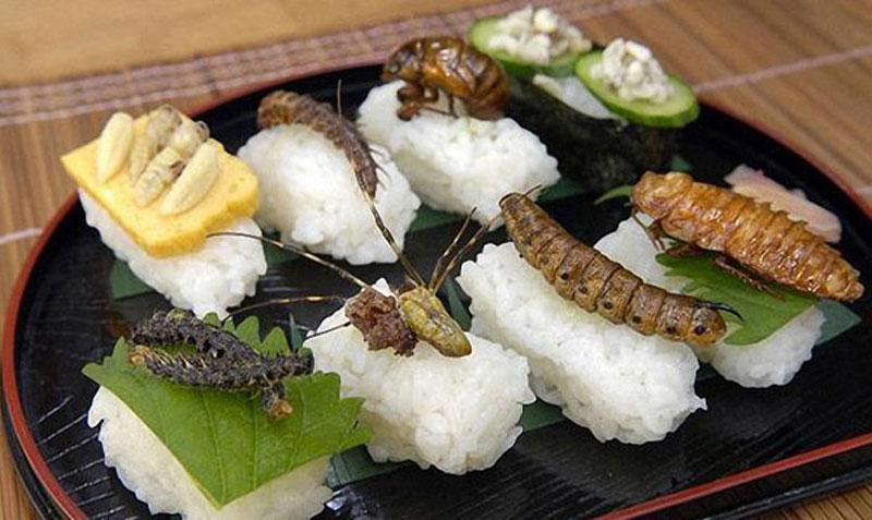 FAO lanza recomendación mundial: "Coman insectos"