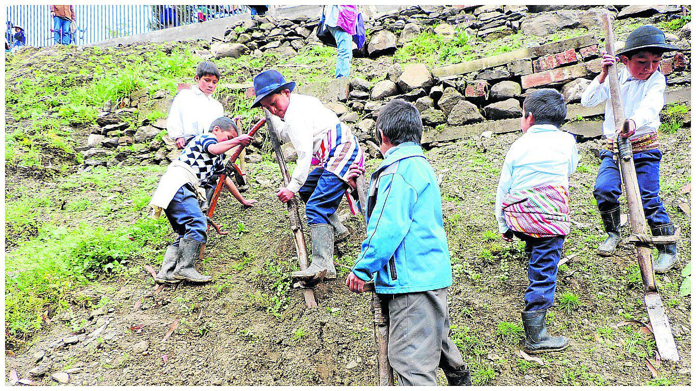 ​Con chaquitaclla en mano niños siembran hortalizas para complementar sus desayunos (VIDEO)