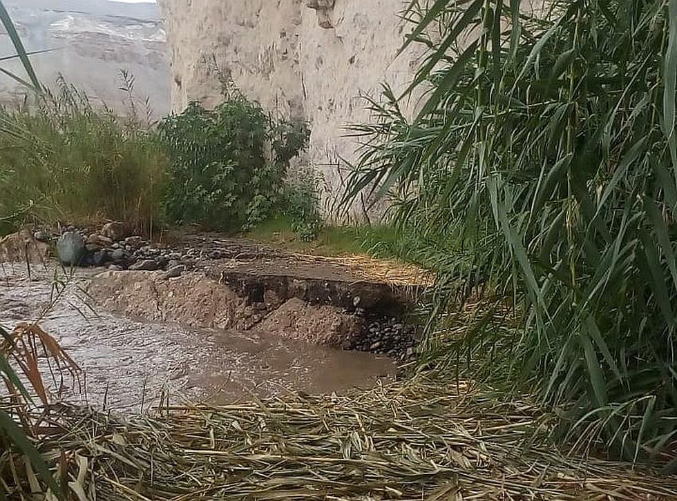 350 hectáreas de cultivos inundadas en el distrito de Vitor(FOTOS)