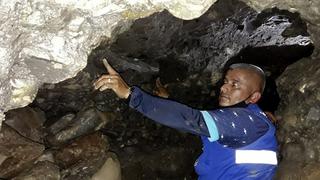 Mineros buscaban oro y hallaron fósiles de un mastodonde extinto hace 10.000 años (FOTOS)