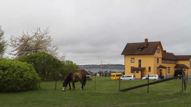 Noruega: El mejor sistema penitenciario del mundo 