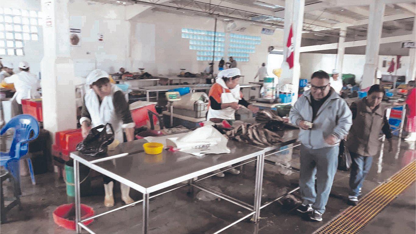 Precio de pescado se dispara en Chimbote 